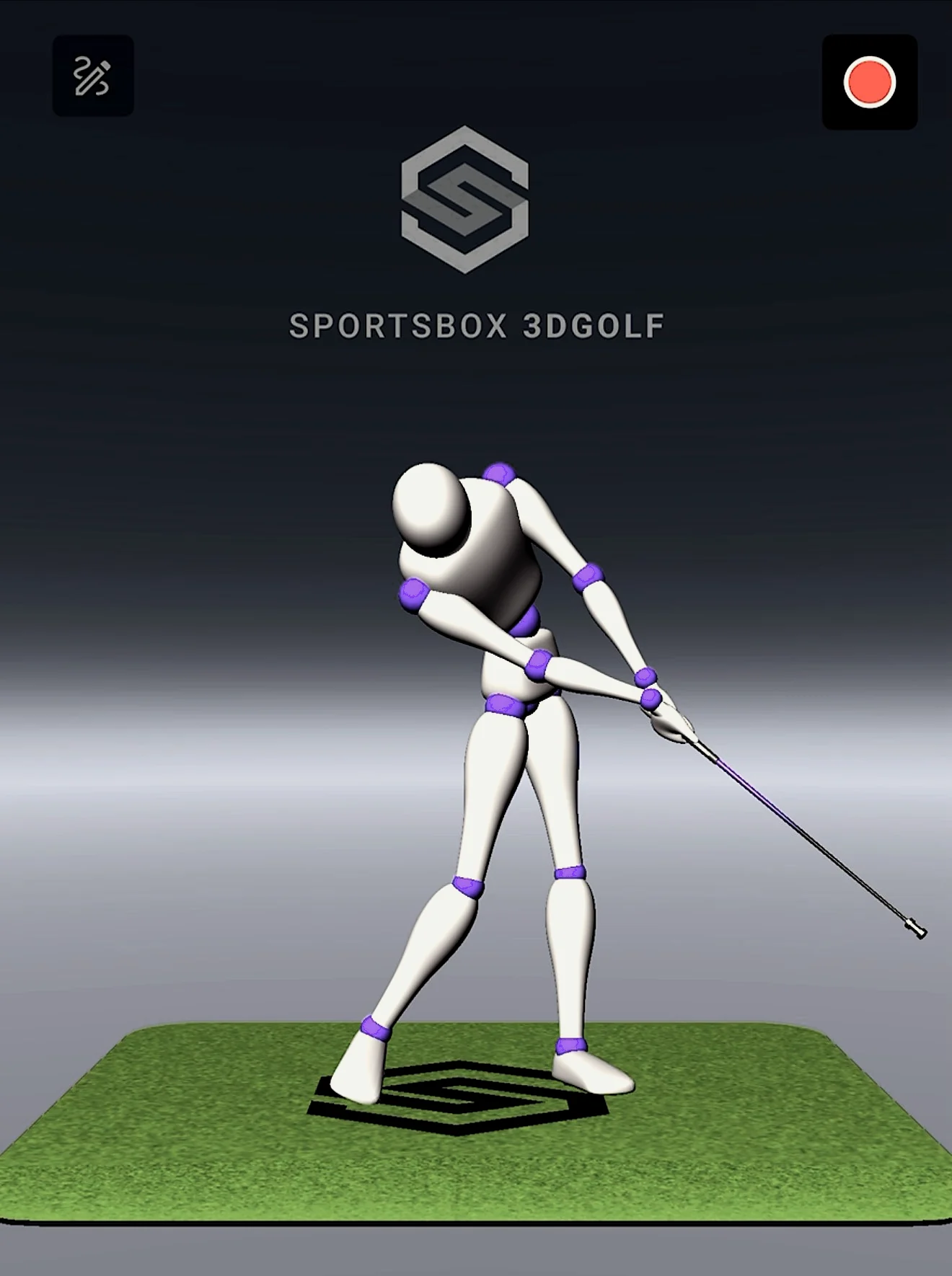 Sportsbox 3D Golf swing model used during golf performance analysis.